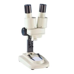 Loupe stéréo