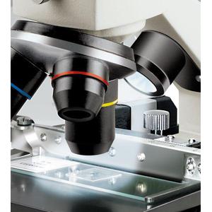 Microscope