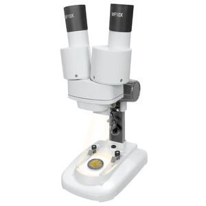 Loupe stéréo