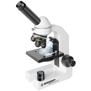 Microscope