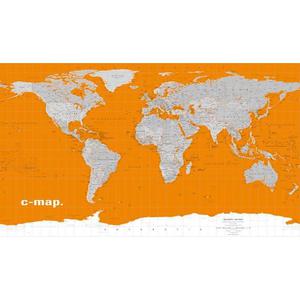 World map