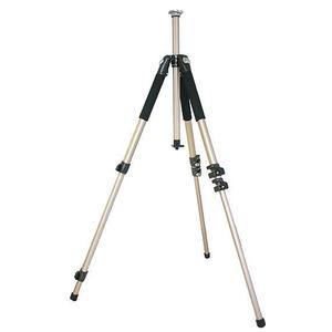 Fernglas