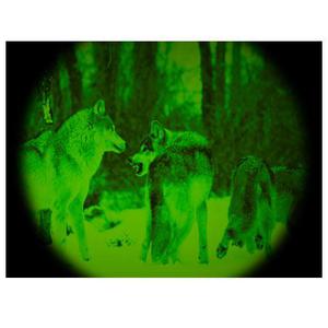 Vision nocturne