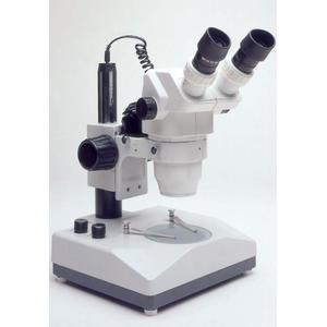 Stereo magnifying glass