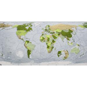 World map