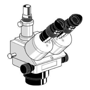 Microscope