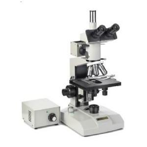 Microscope