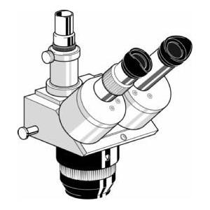 Stereo magnifying glass