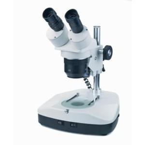 Stereo magnifying glass
