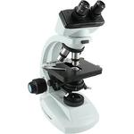 Microscope