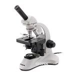 Microscope