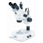 Stereolupe