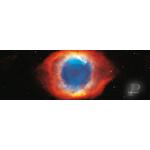 Palazzi Verlag Poster Giant Eye