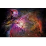 Affiche Palazzi Verlag Great Orion Nebula