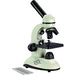 Microscope