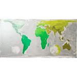 World map