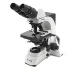 Microscope