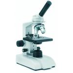 Microscope