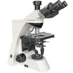 Microscope