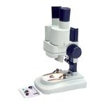 Loupe stéréo