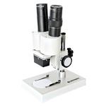 Loupe stéréo