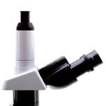 Microscope