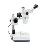 Stereo magnifying glass
