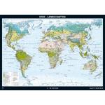 World map