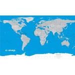 World map