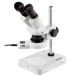 Stereo magnifying glass