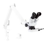 Stereo magnifying glass