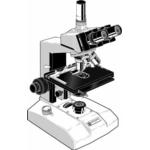 Microscope