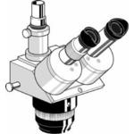 Loupe stéréo
