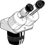 Stereo magnifying glass