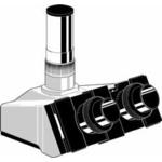 Microscope