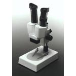 Stereo magnifying glass