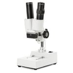 Stereo magnifying glass