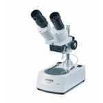 Loupe stéréo