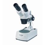 Loupe stéréo