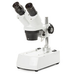 Loupe stéréo