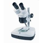 Stereo magnifying glass