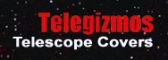 Telegizmos Logo