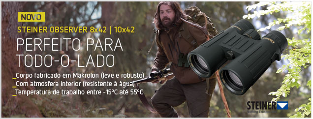 Steiner Observer