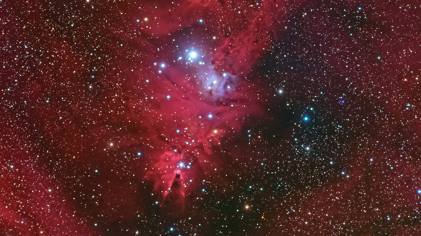 Der Weihnachtsbaumhaufen NGC 2264, direkt unterhalb schließt sich der Konusnebel, ein Dunkelnebel an, Tragoolchitr Jittasaiyapan