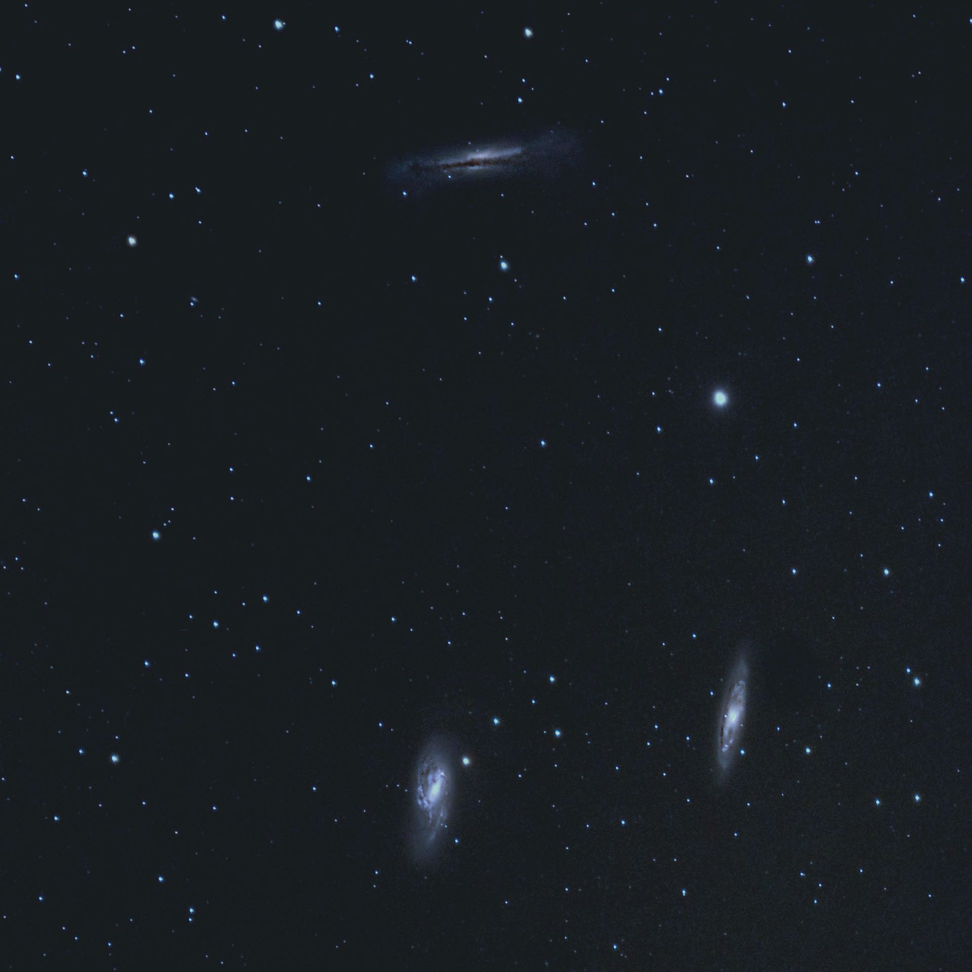Due brillanti e una sfida: M66 (sotto a sinistra), M65 e NGC 3628 (sopra). H. Fischer