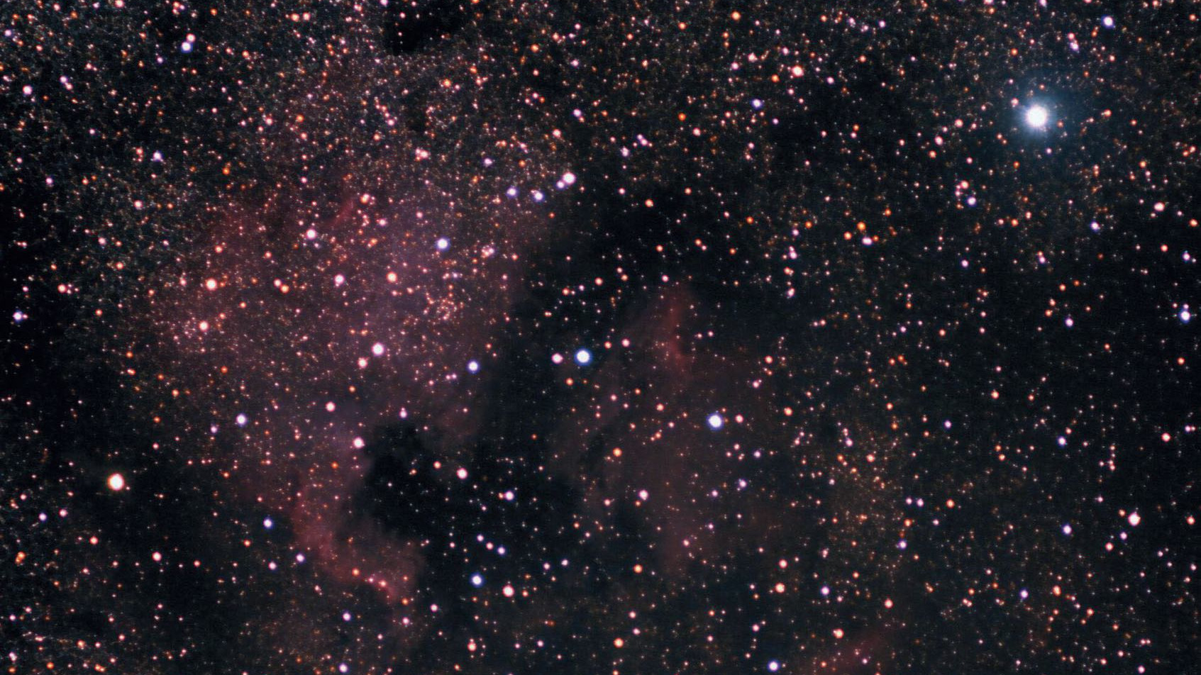 A sud-est di Deneb (la stella più luminosa in alto a destra) troviamo la nebulosa Nordamerica NGC 7000, una delle più belle. La mini-Orione si trova a sinistra del centro dell’immagine, o a est del Golfo del Messico. Marcus Degenkolbe