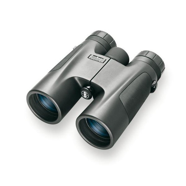 bushnell binoculars 8x42