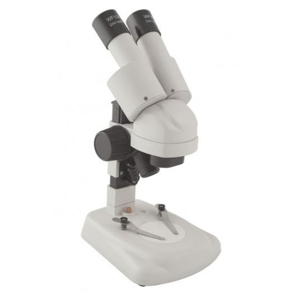 Windaus HPS 6 microscopio binoculare da dissezione con oculari angolati a 45°