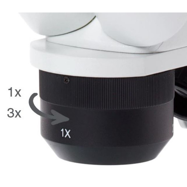 Euromex Microscopio stereo EduBlue 1/3 ED.1302-P