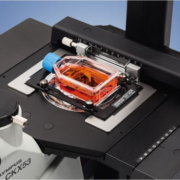 Evident Olympus Microscopio invertito CKX53, trinoculare, 100x, 200x, 400x, IPC/IVC tavolino x/y